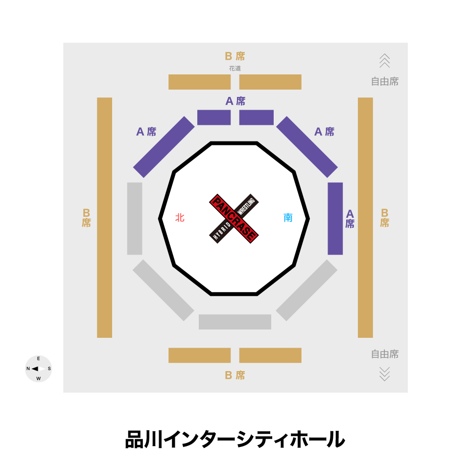 《指定席》8/10 PANCRASE BLOOD.8