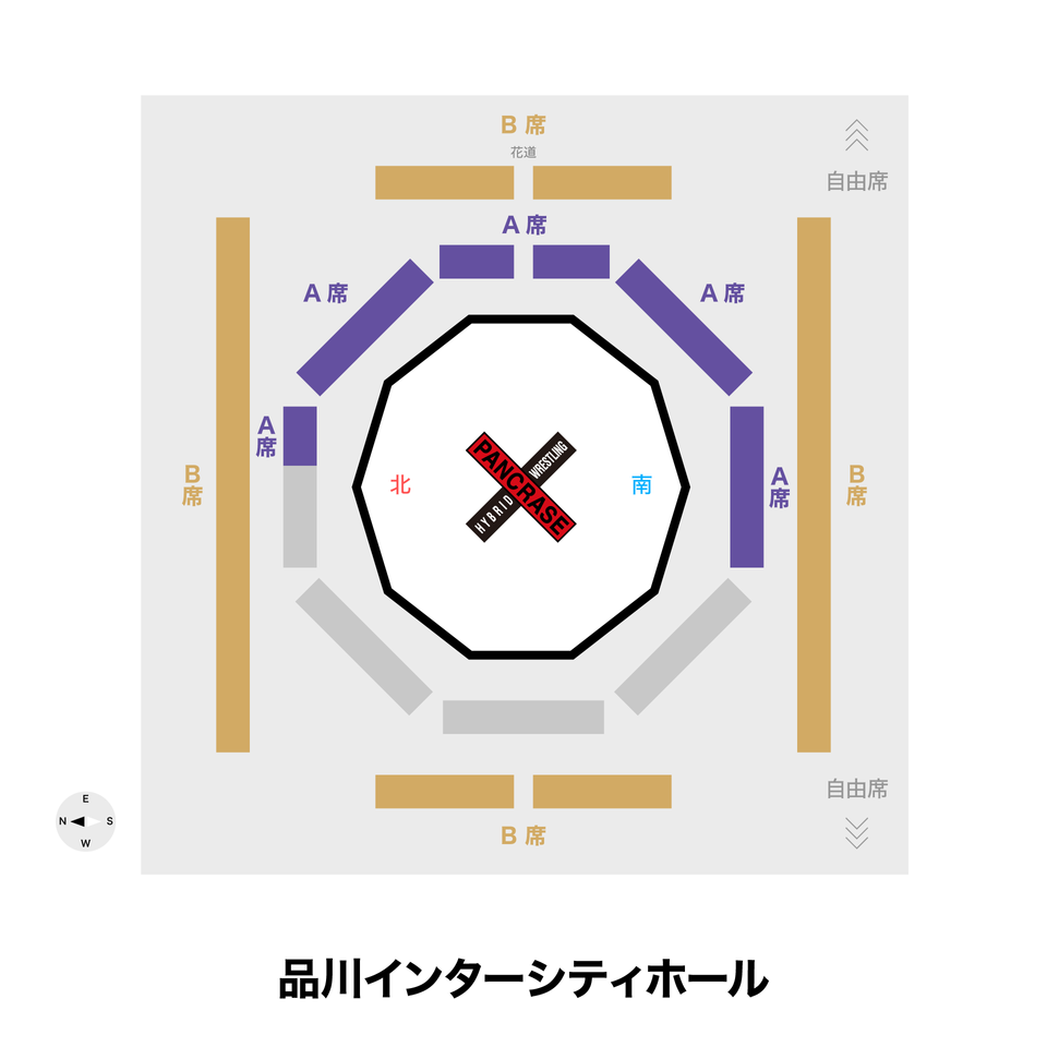 《指定席》8/10 PANCRASE BLOOD.8