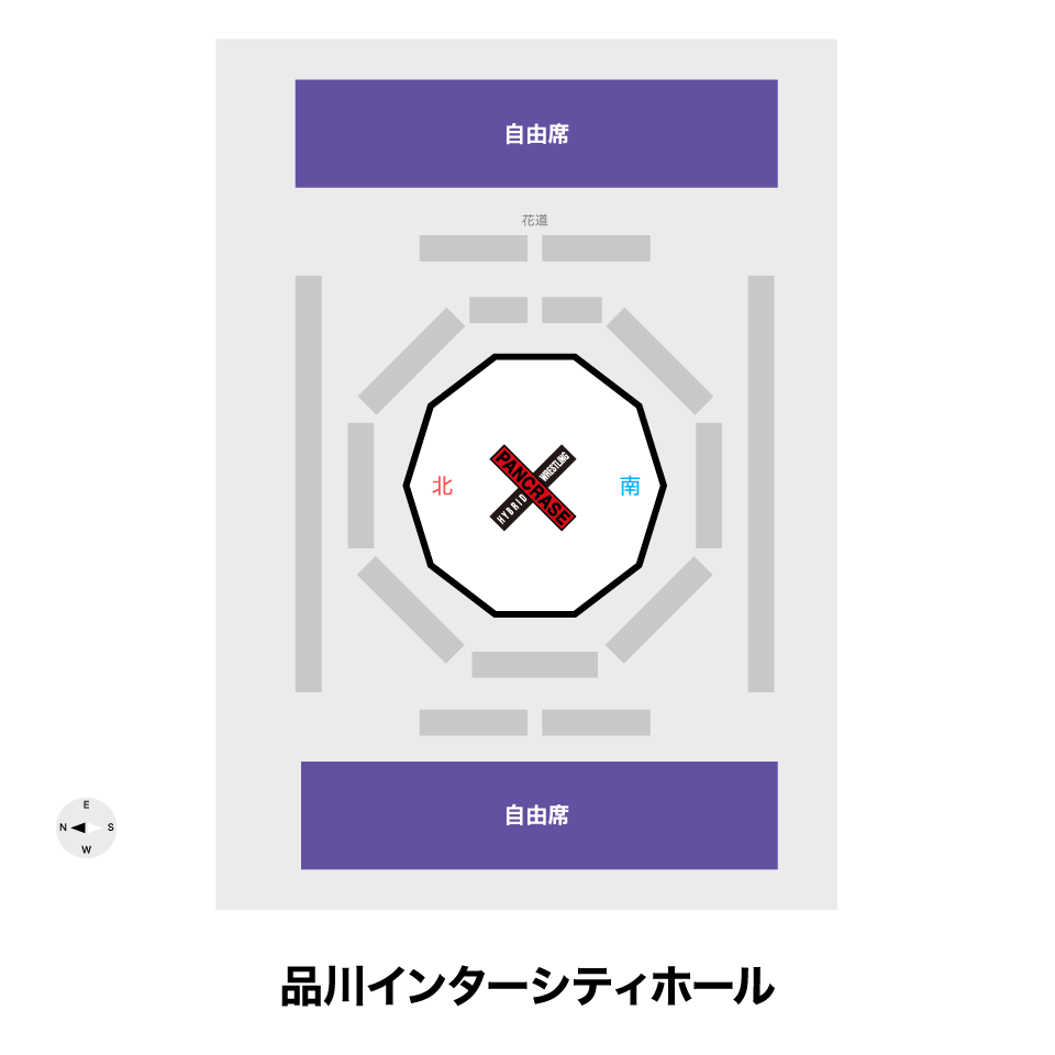 《自由席》8/9 PANCRASE BLOOD.12	